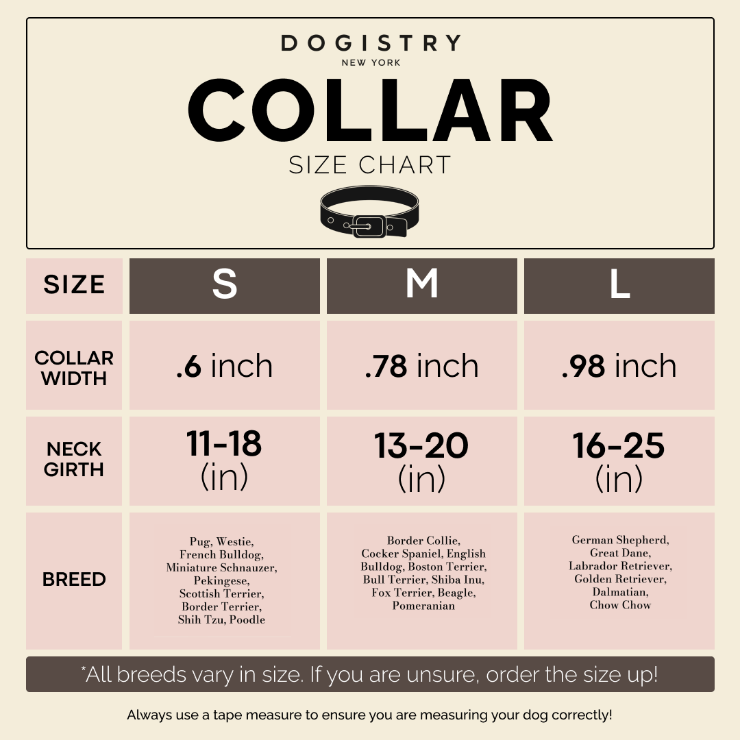 Luxury City Dog Collar | Dune
