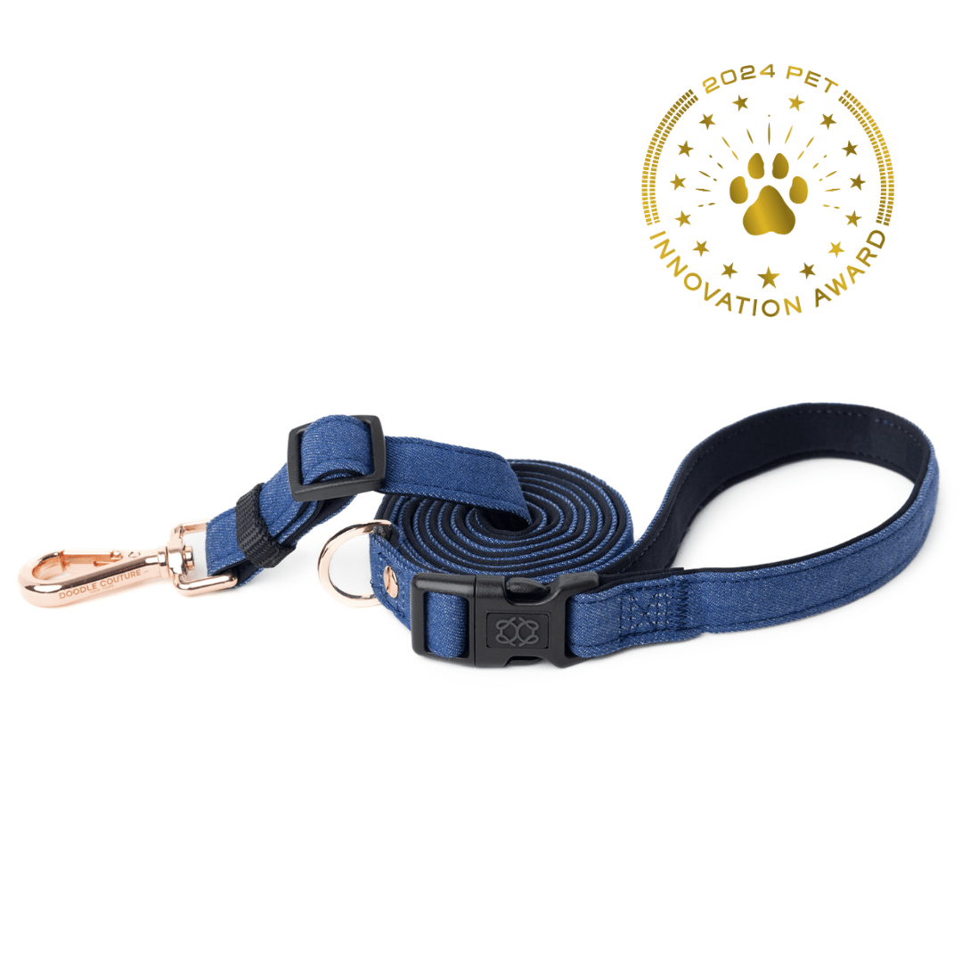 Blue dog leash with black clip and gold clasp on a white background, featuring a 2024 Pet Innovation Award logo.