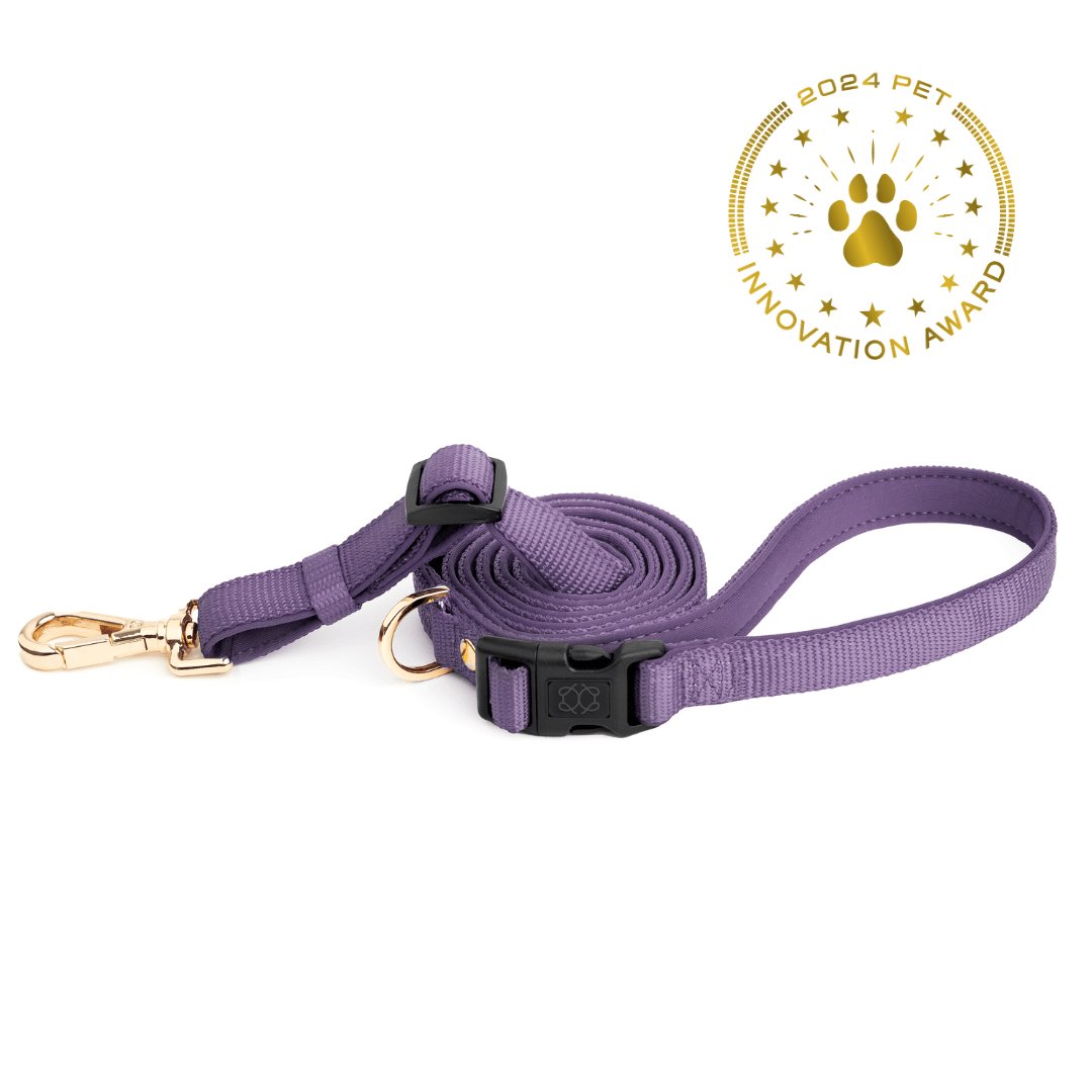 Hands-Free Small Dog Leash - City Lilac Gray