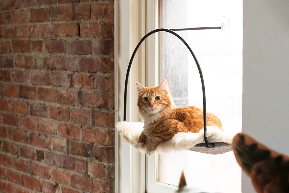 Cloud Nine Window Hammock For Cats
