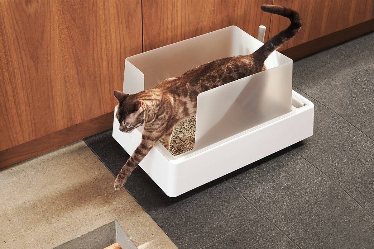 Cute Aesthetic Cove Litter Box
