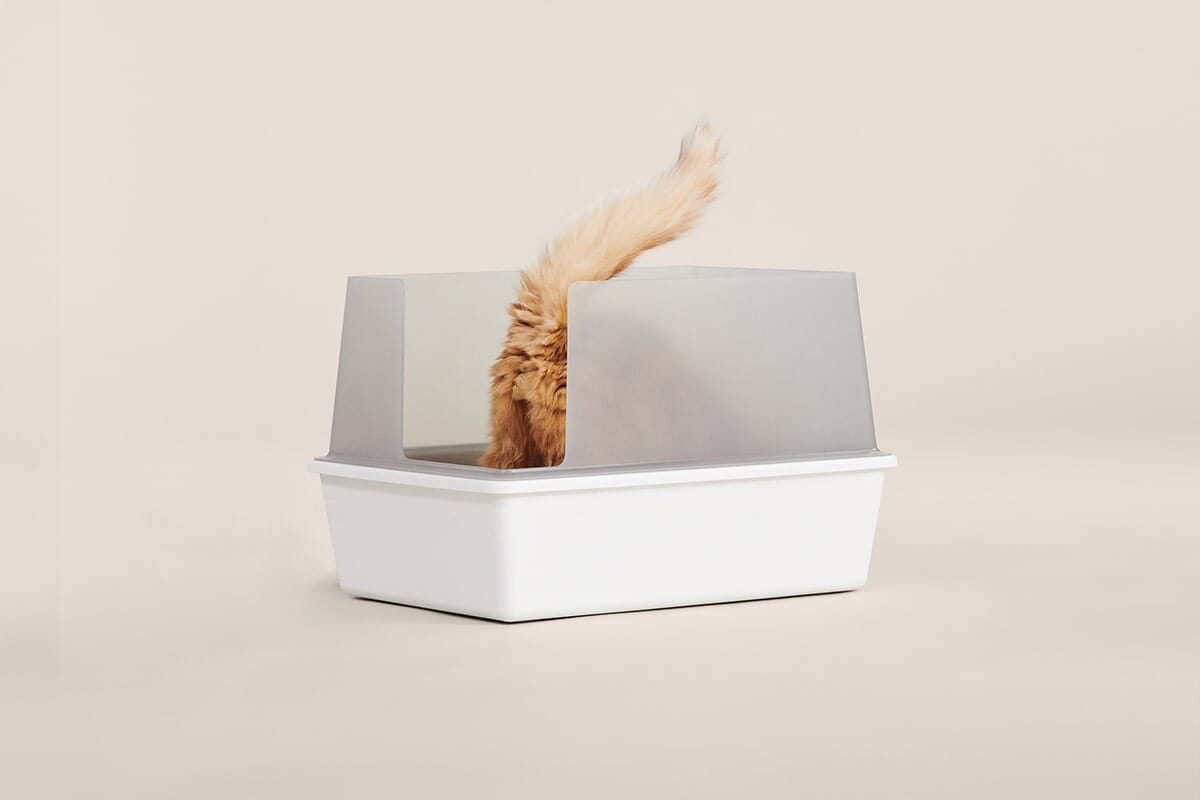 Cute Aesthetic Cubby Litter Box