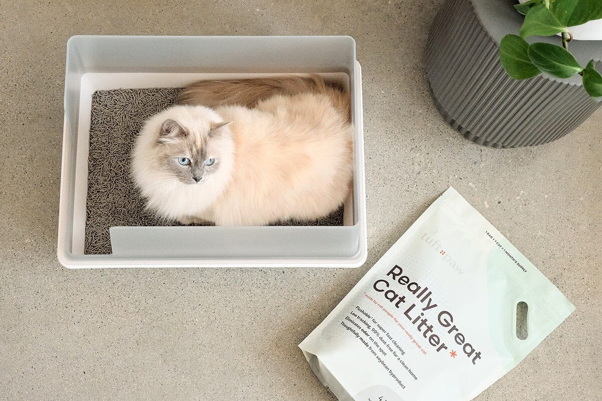 Cute Aesthetic Cubby Litter Box