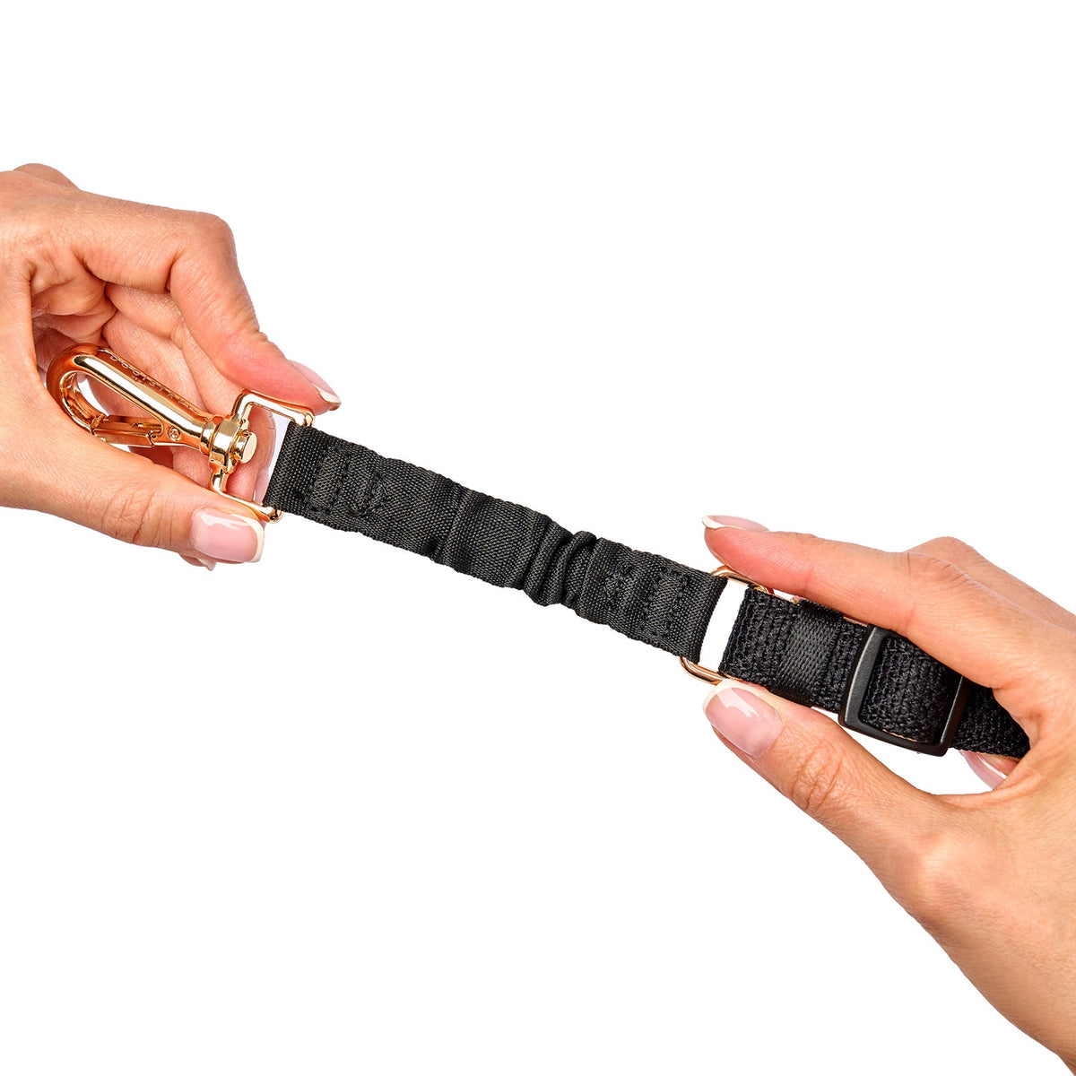 Secure buckled handle on the Crosby leash
