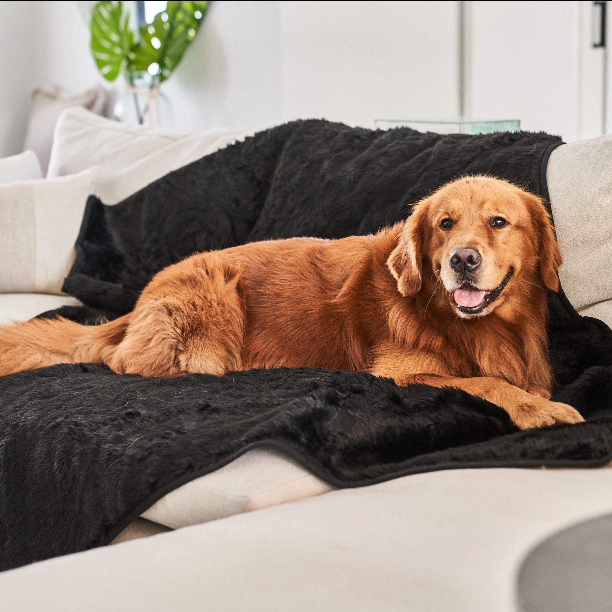 PupProtector Summer Short Fur Waterproof Throw Blanket - Midnight Black