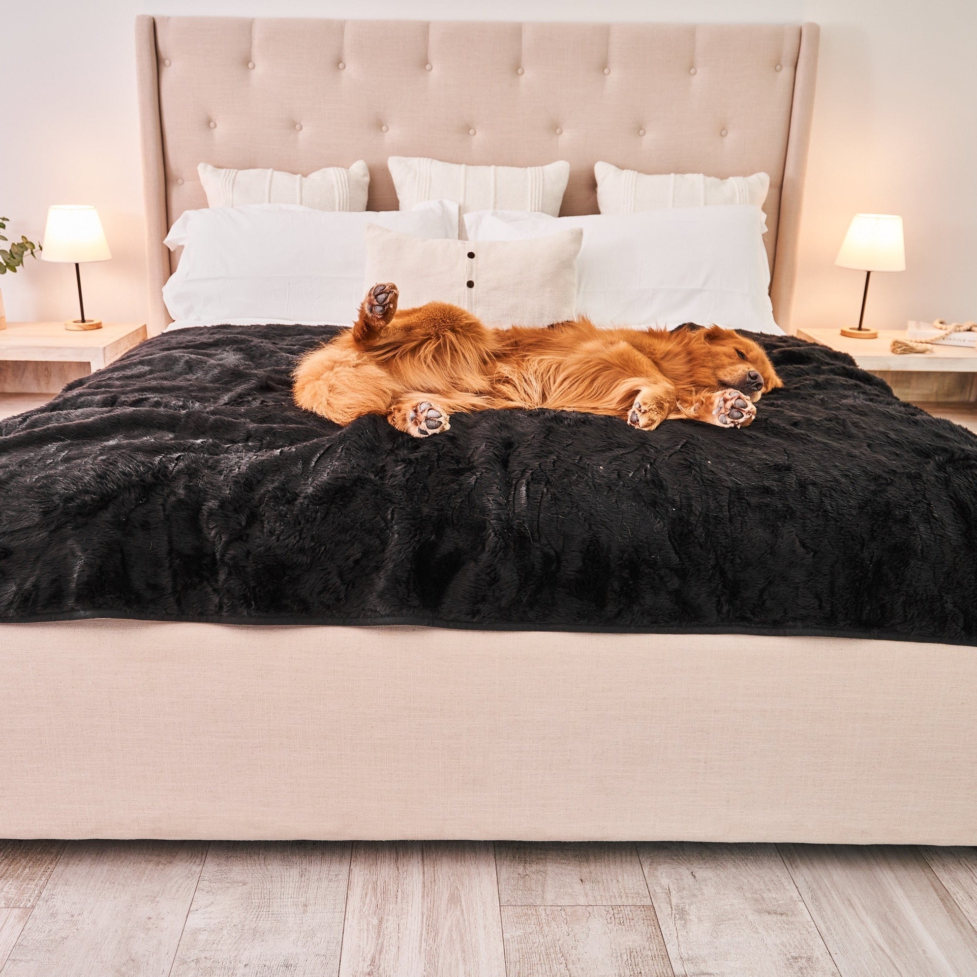 PupProtector Summer Short Fur Waterproof Throw Blanket - Midnight Black
