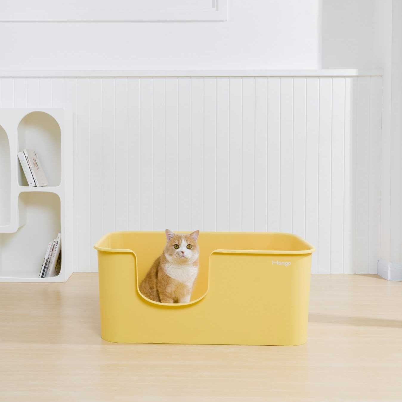 Extra Large Litter Box for Big Cats & Multi-Cat Homes