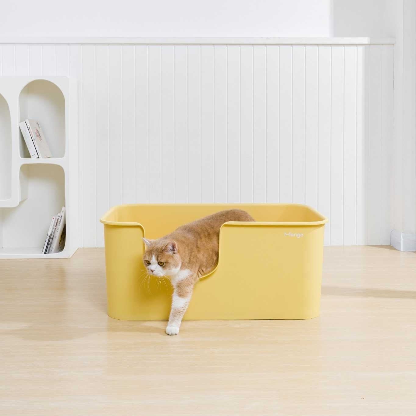 Extra Large Litter Box for Big Cats & Multi-Cat Homes