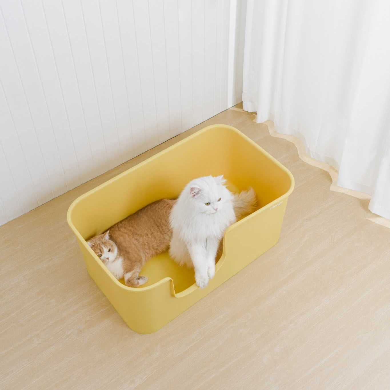 Extra Large Litter Box for Big Cats & Multi-Cat Homes