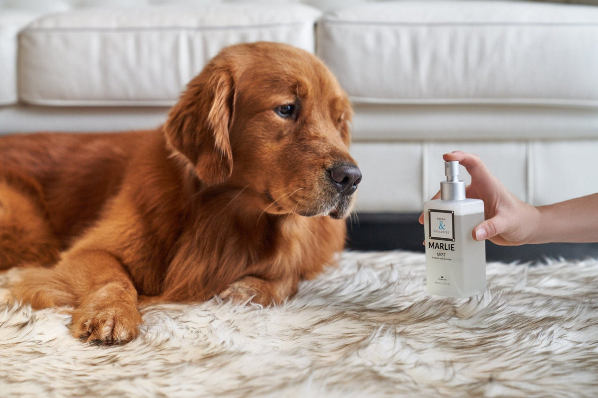 Marlie Mist natural pet odor eliminator spray, photo 10