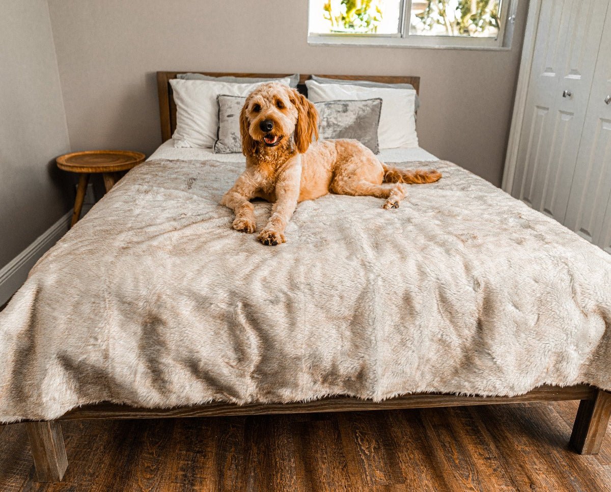 PupProtector summer short fur waterproof dog blanket in white with brown accents, photo 5