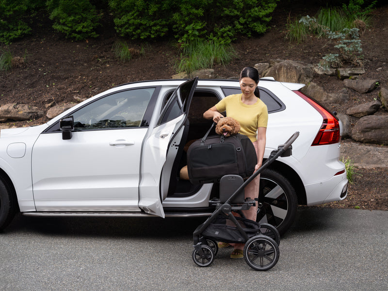 Roscoe Trek Pet Stroller For Small Dogs & Cats With Tavo Hendrick Carrier