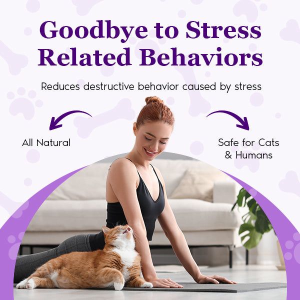 Purrfect Calm Diffuser