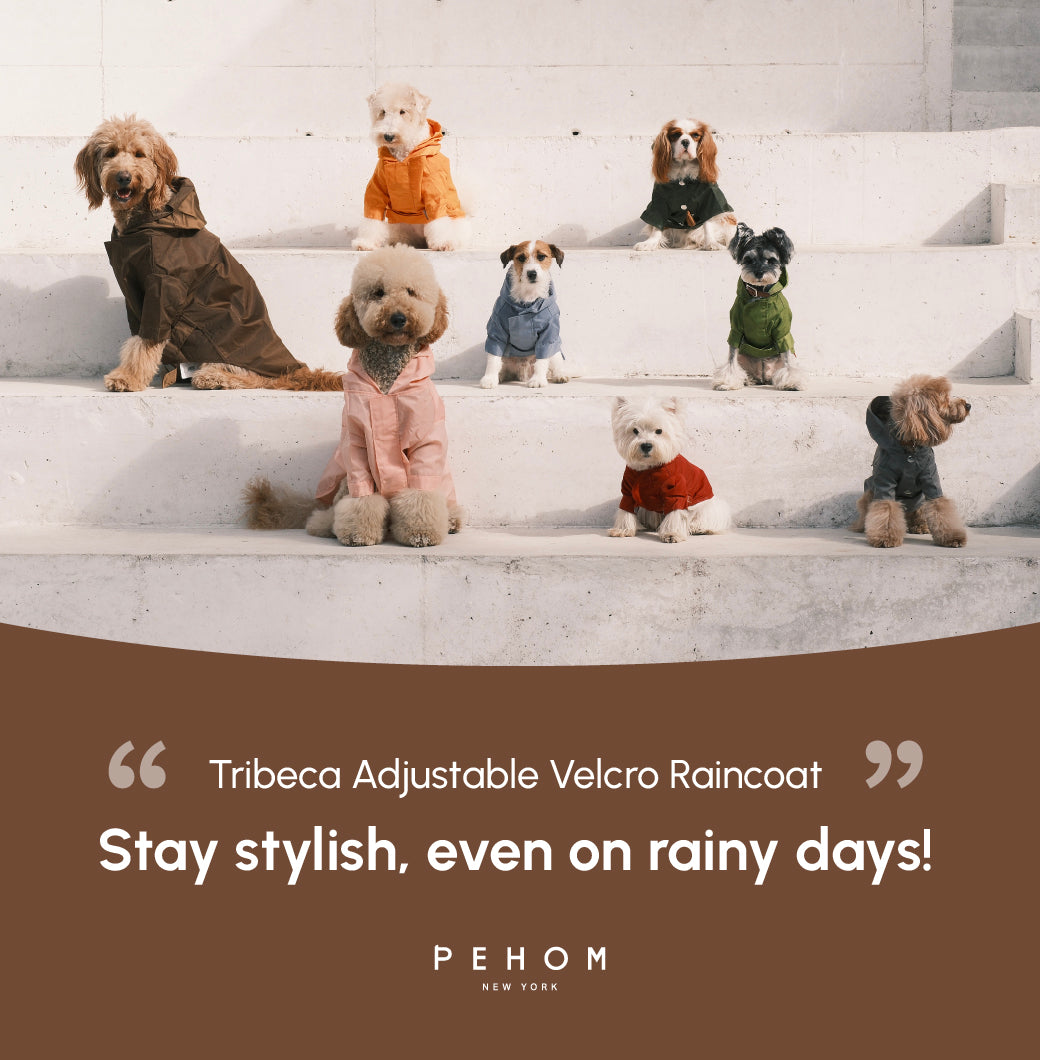 PEHOM Tribeca hooded dog raincoat in Choco brown