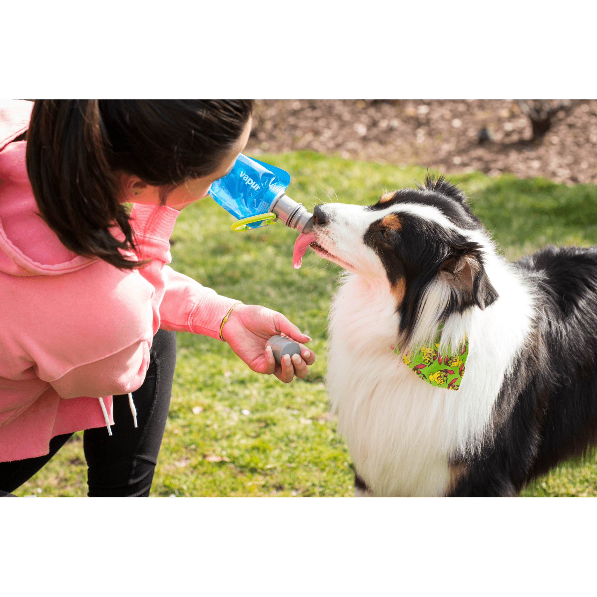 Vapur EZ Lick Portable Dog Water Bottle