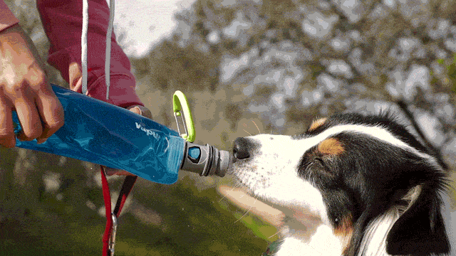 Vapur EZ Lick Portable Dog Water Bottle
