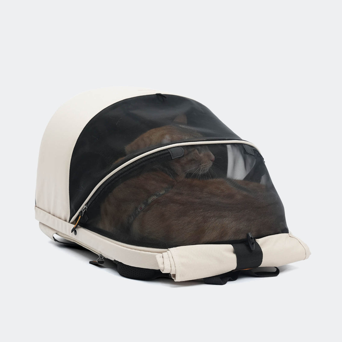 ibiyaya cat carrier with a cat inside on a white background