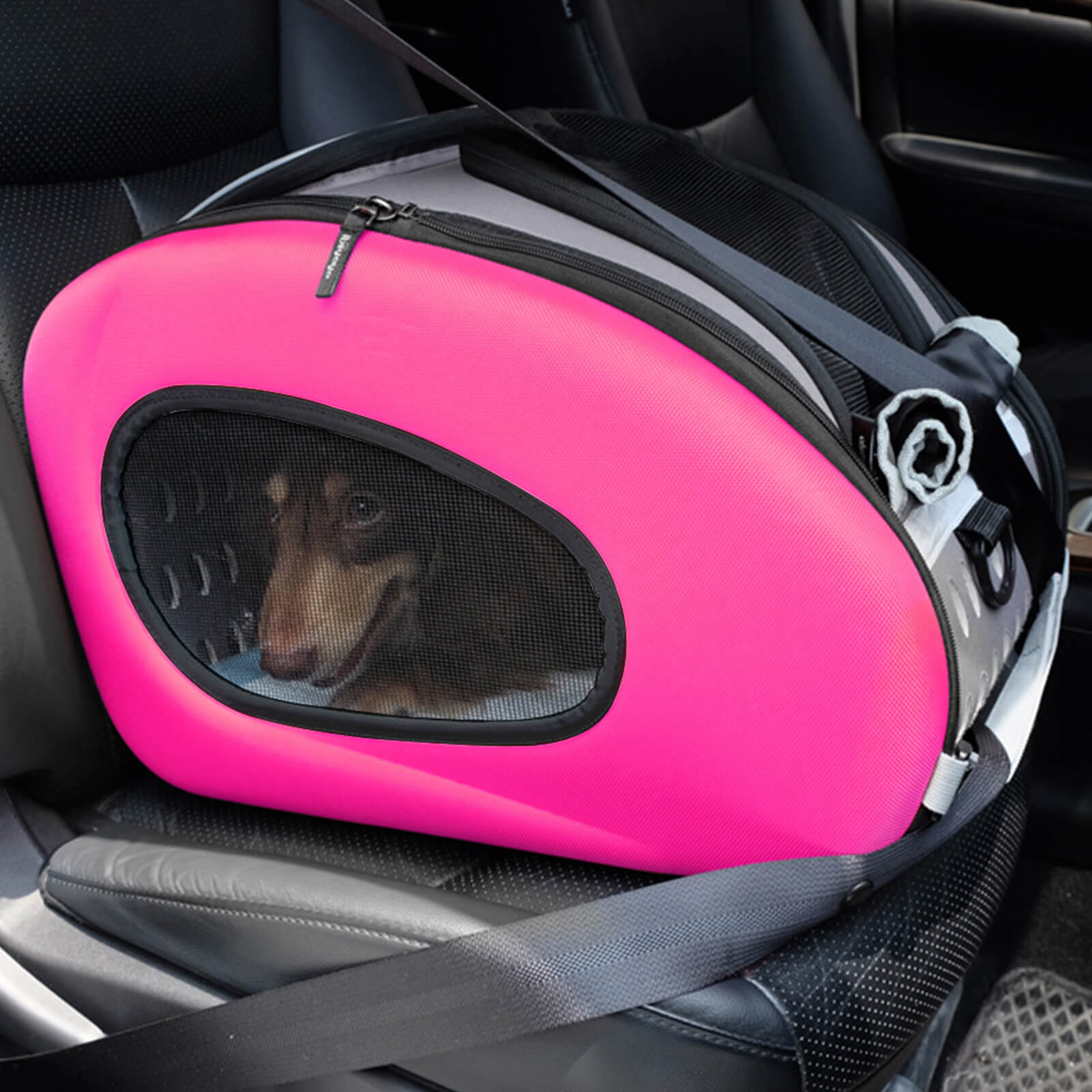 #Color_Hot Pink