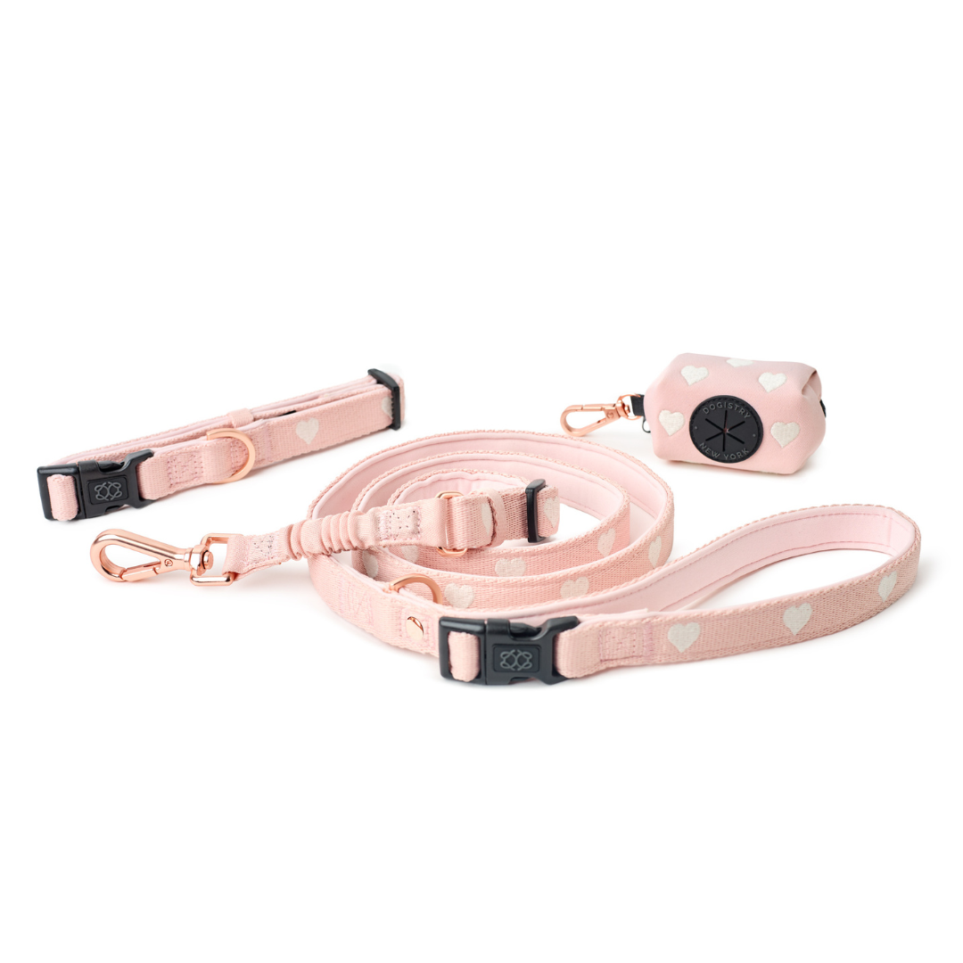 Pink dog collar, leash, and remote trainer on a white background