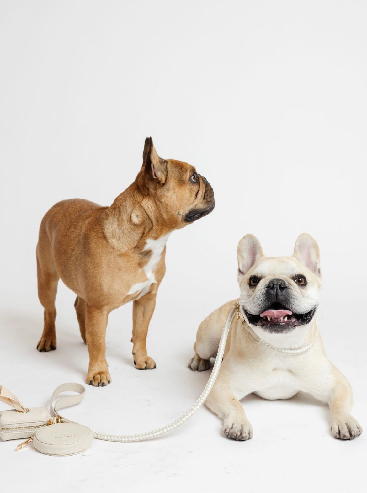 City Walk Kit: Chic Dog Leash, Treat Pouch & Waste Bag