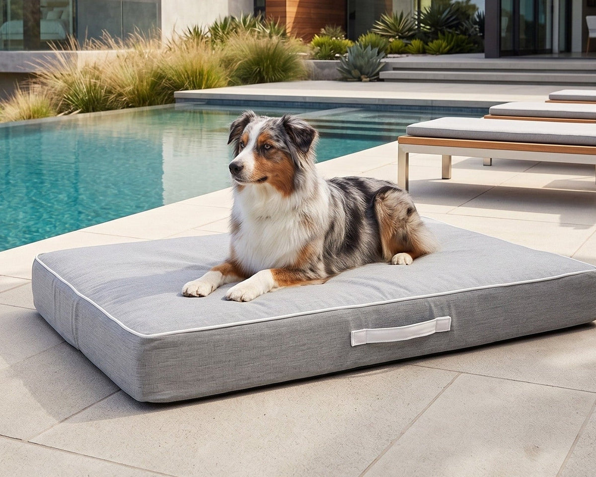 Australian Shepherd lounging on the Bowsers Rectangular Patio Dog Cushion in Heather Grey beside a pool