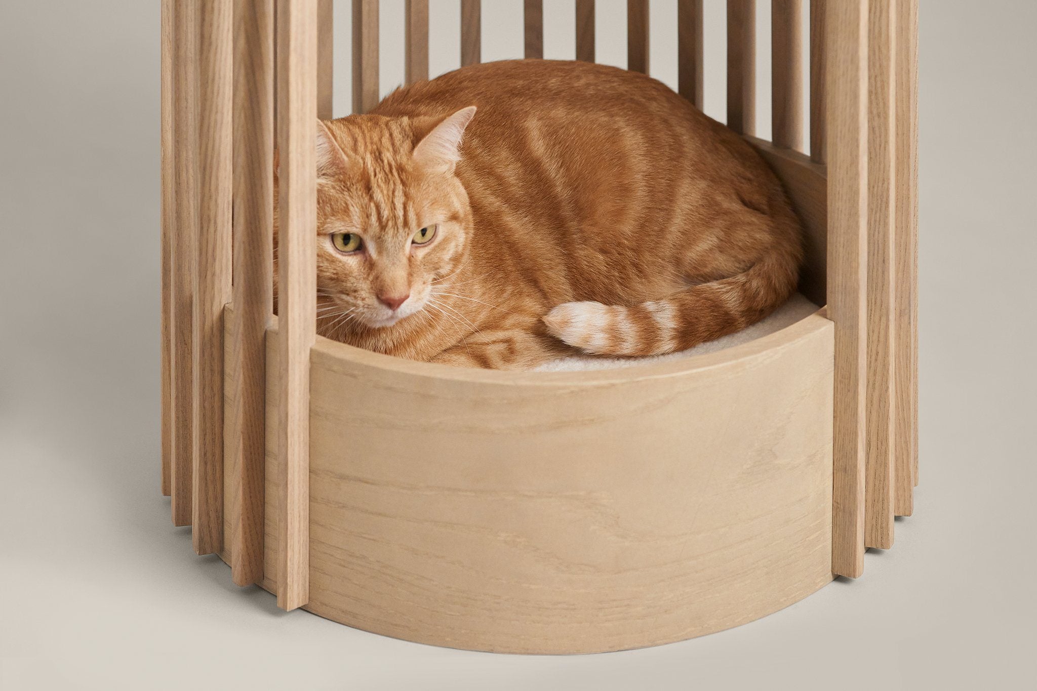Mid-Century Modern Cat Tower & High Bed
