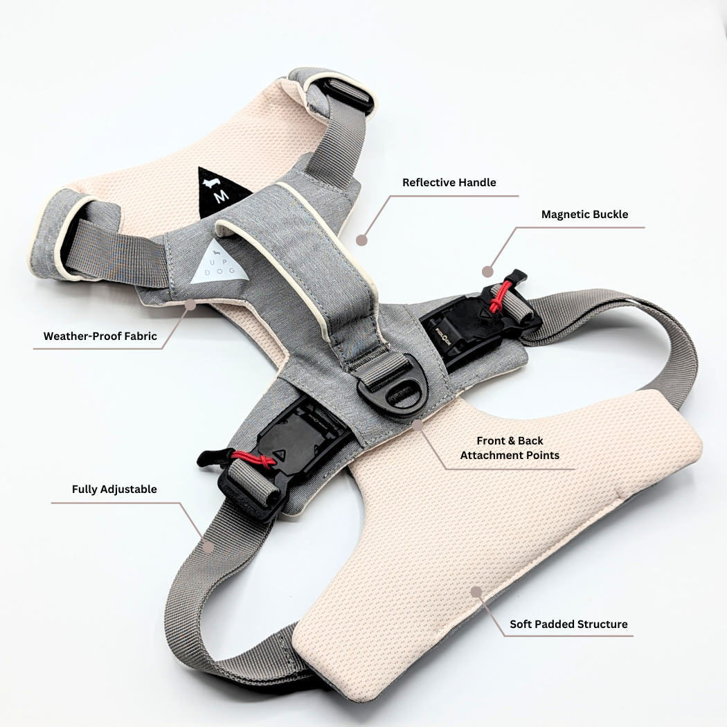 No-Pull Magnetic Dog Harness