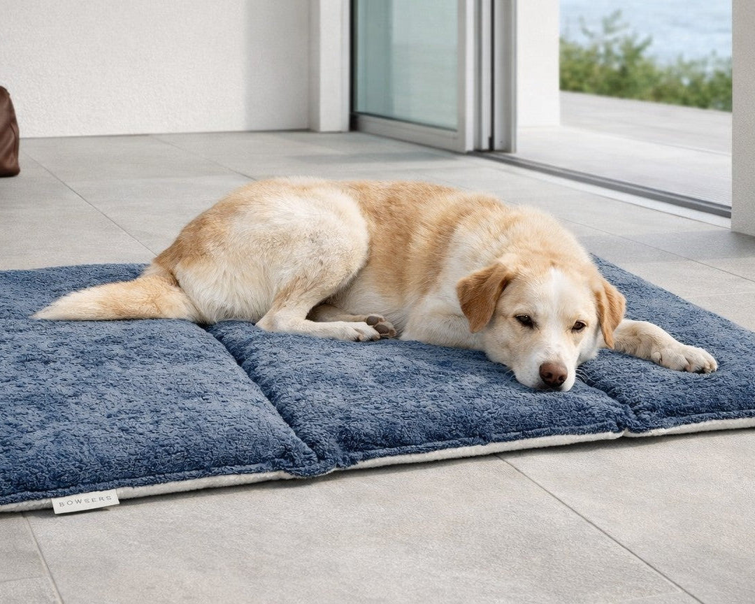 Golden Retriever relaxing on the Bowsers Urban Home & Travel Dog Mat in a living room