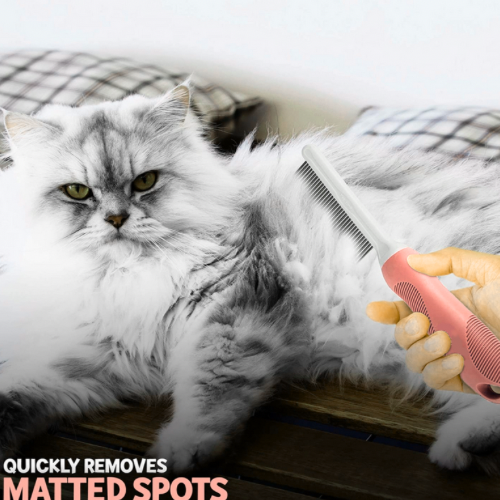 Long hair cat breed with the best comb to remove matted spots
