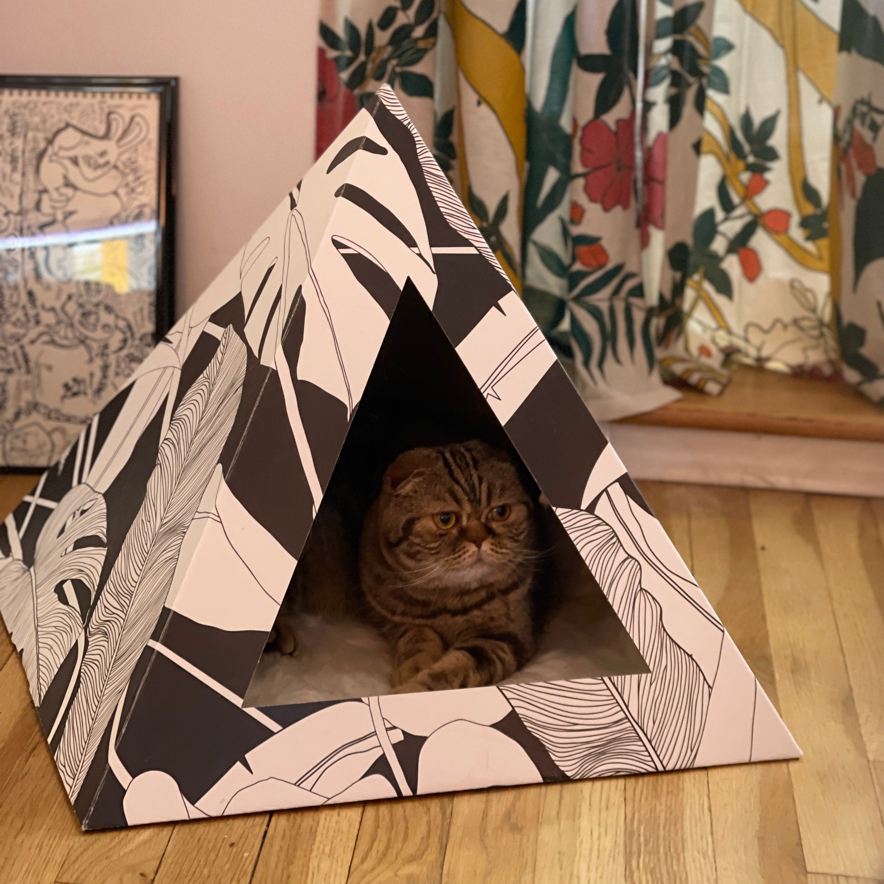 Cat peeking out from a black and white patterned cardboard pet tent on a wooden floor.