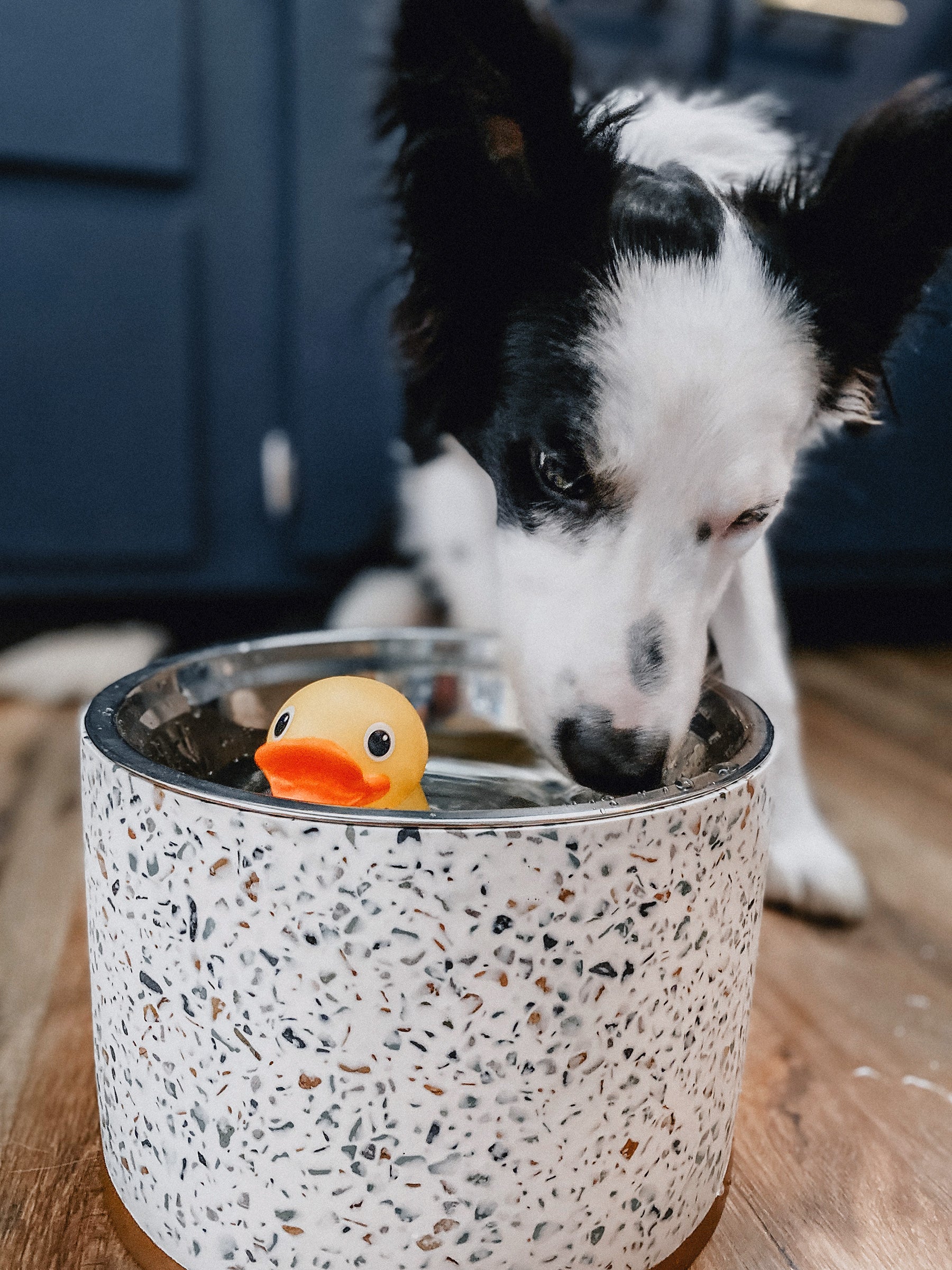 Terrazzo Modern Elevated Dog Bowl