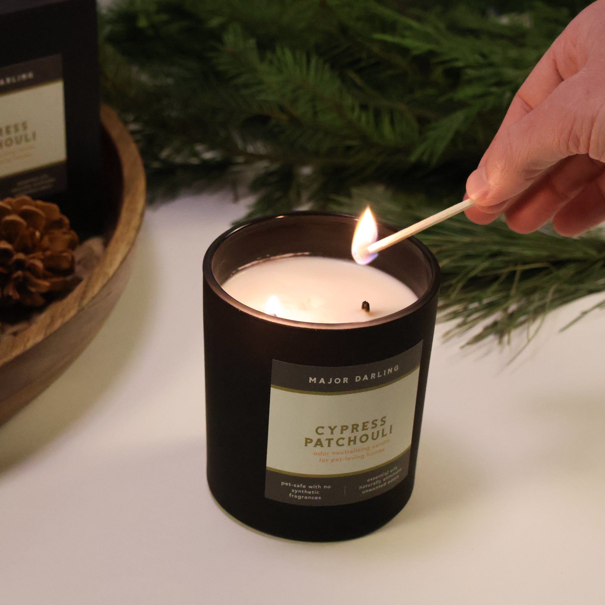 Best candle to eliminate dog smell