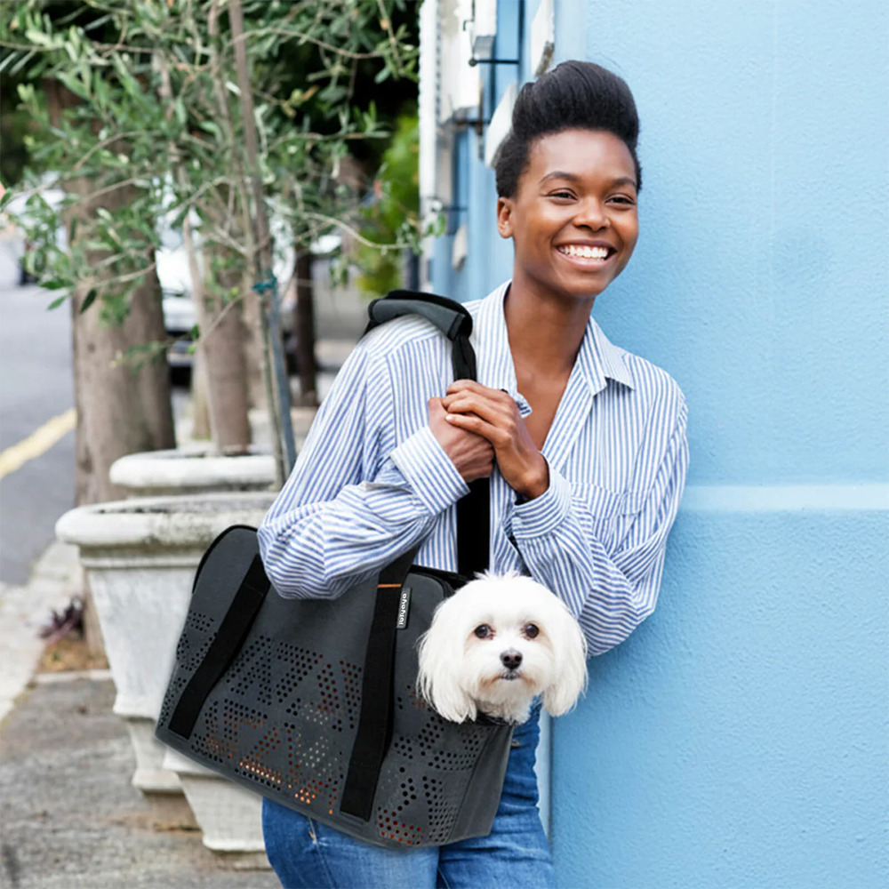 Dog owner holding an Ibiyaya pet carrier with a small maltese dog, standing against a blue wall.