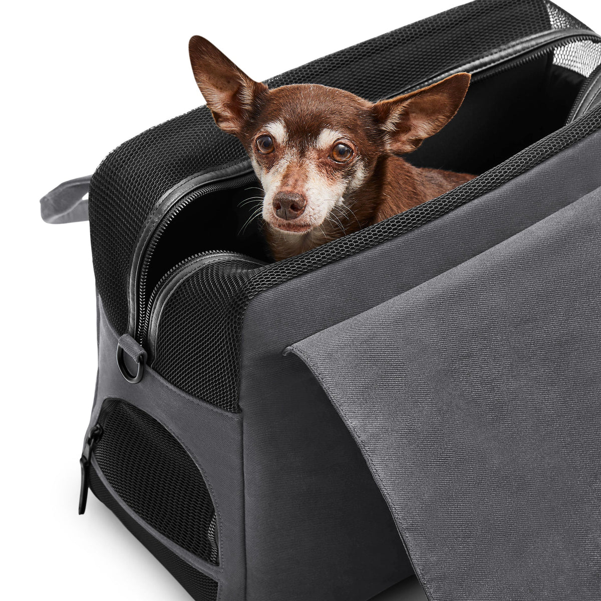 The Destination Tote in Gray | Small Dogs up to 13 lbs | TSA-Compliant In-Cabin Pet Carrier