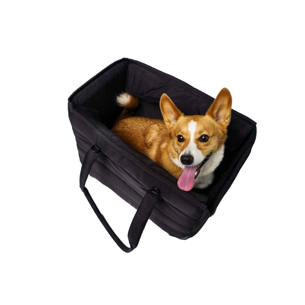 Corgi sitting inside the large JUST FRED Subway Tote dog carrier