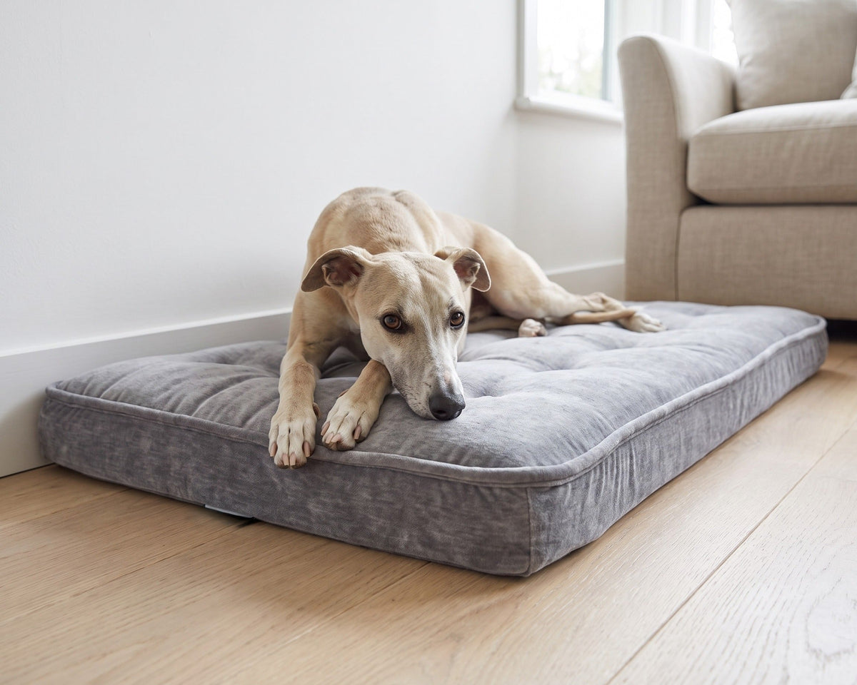Whippet resting on the Bowsers Luxury Crate Mattress in Pumice, a low-profile dog bed for the living room