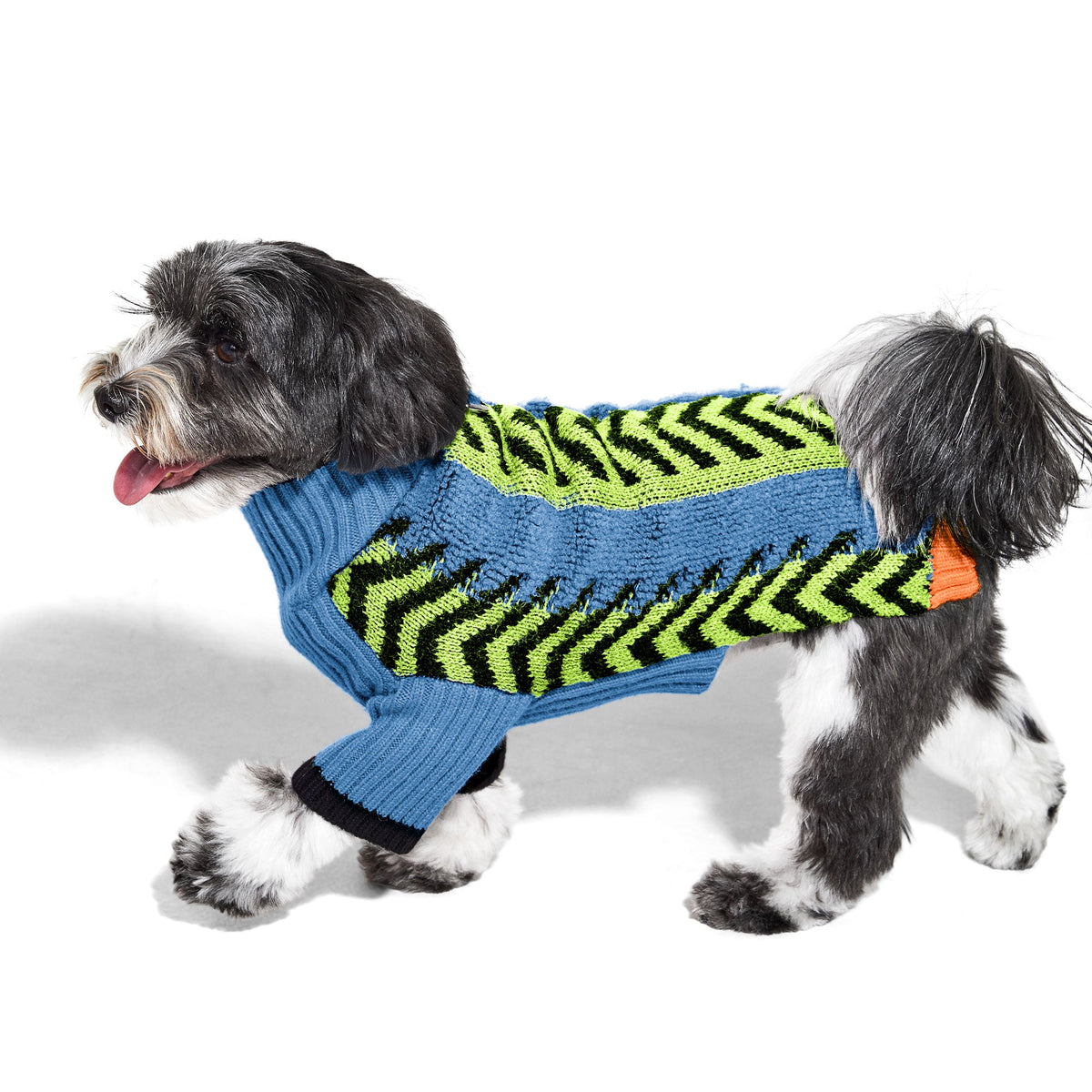 Small dog wearing the Lil Baddie sweater in Baddie Blue, side view