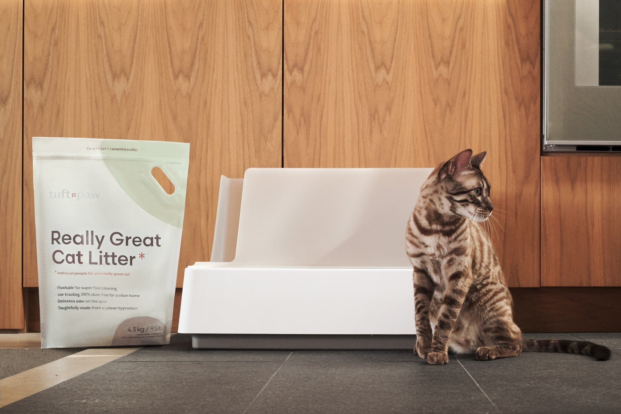 Cute Aesthetic Cove Litter Box