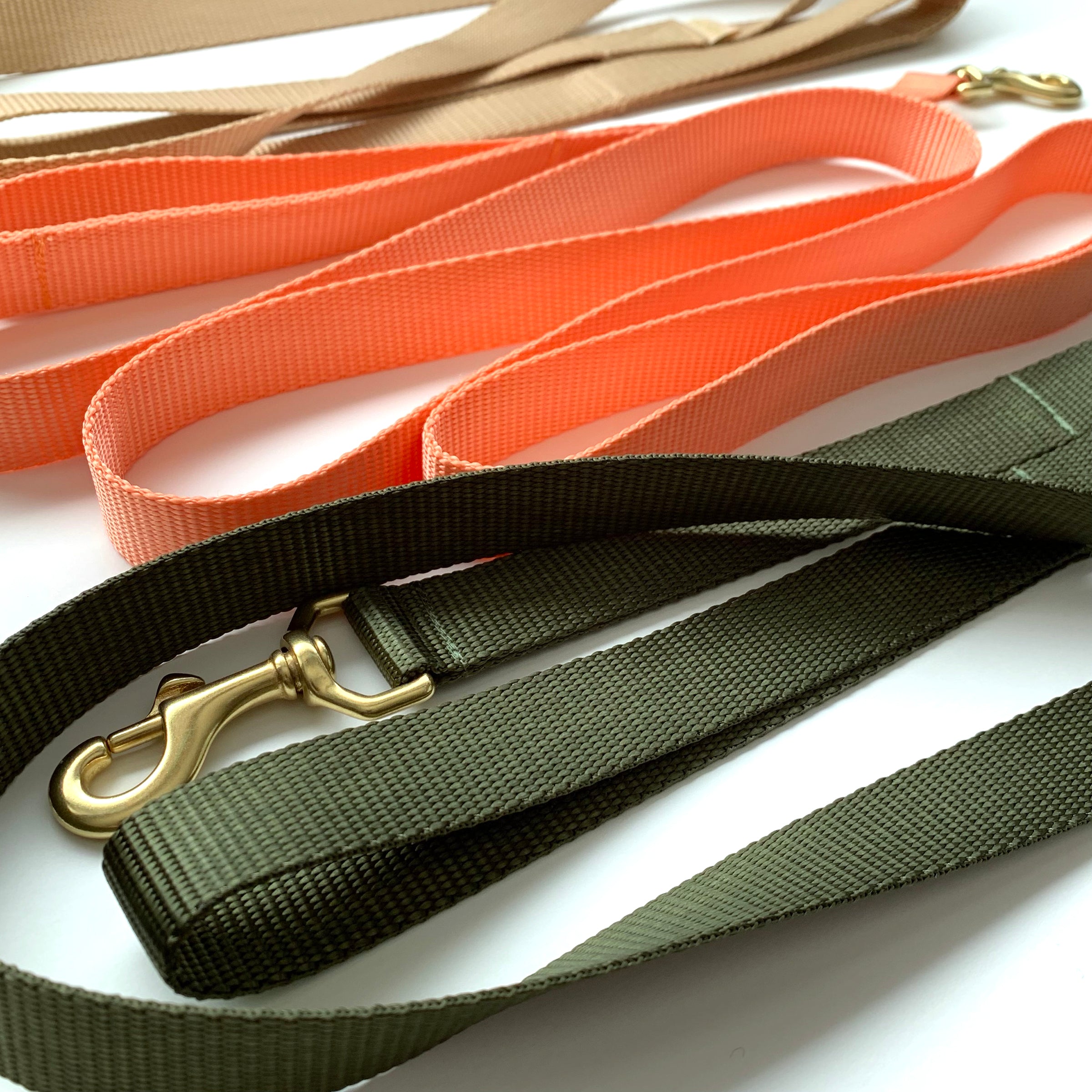 double handle 6' long leash
