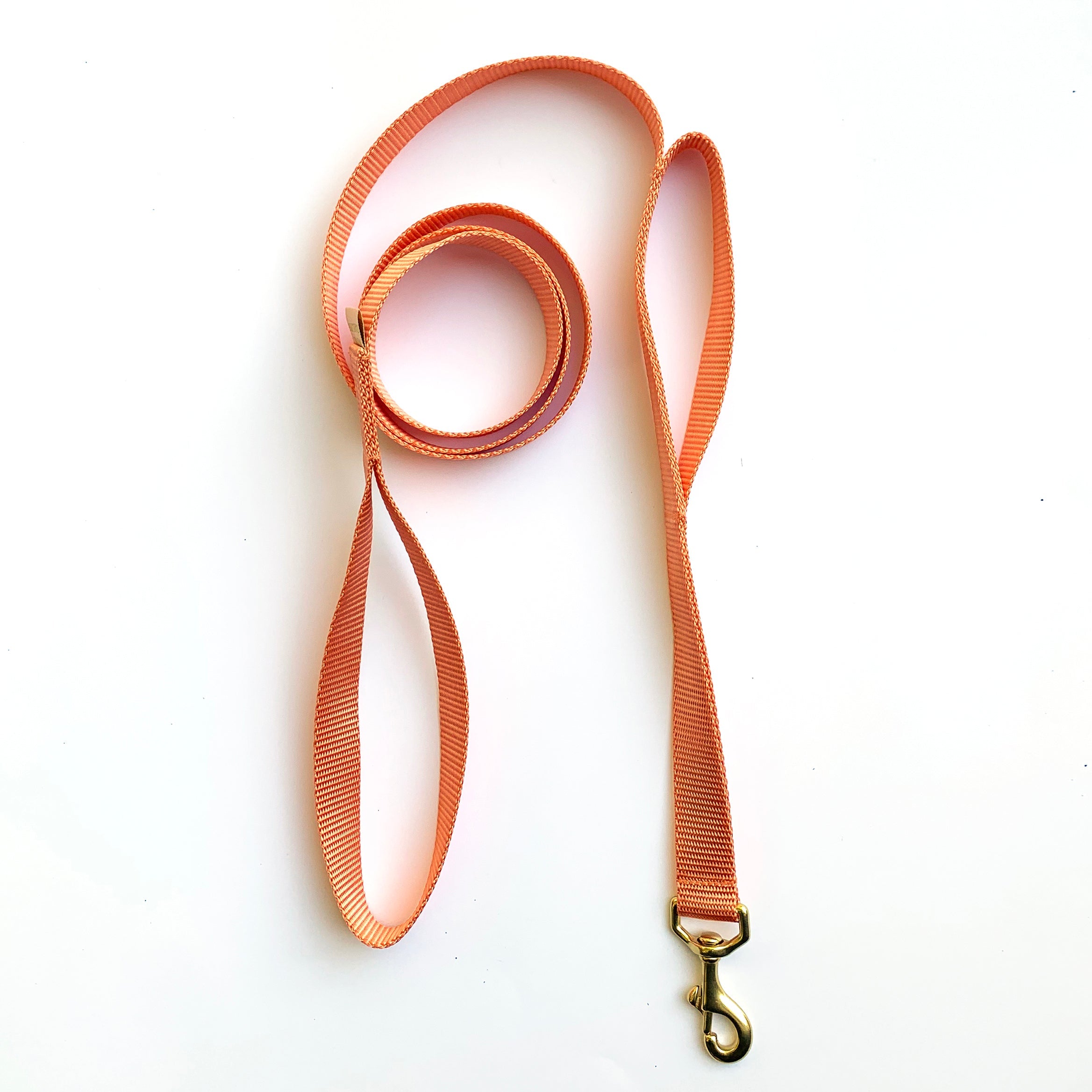 double handle 6' long leash