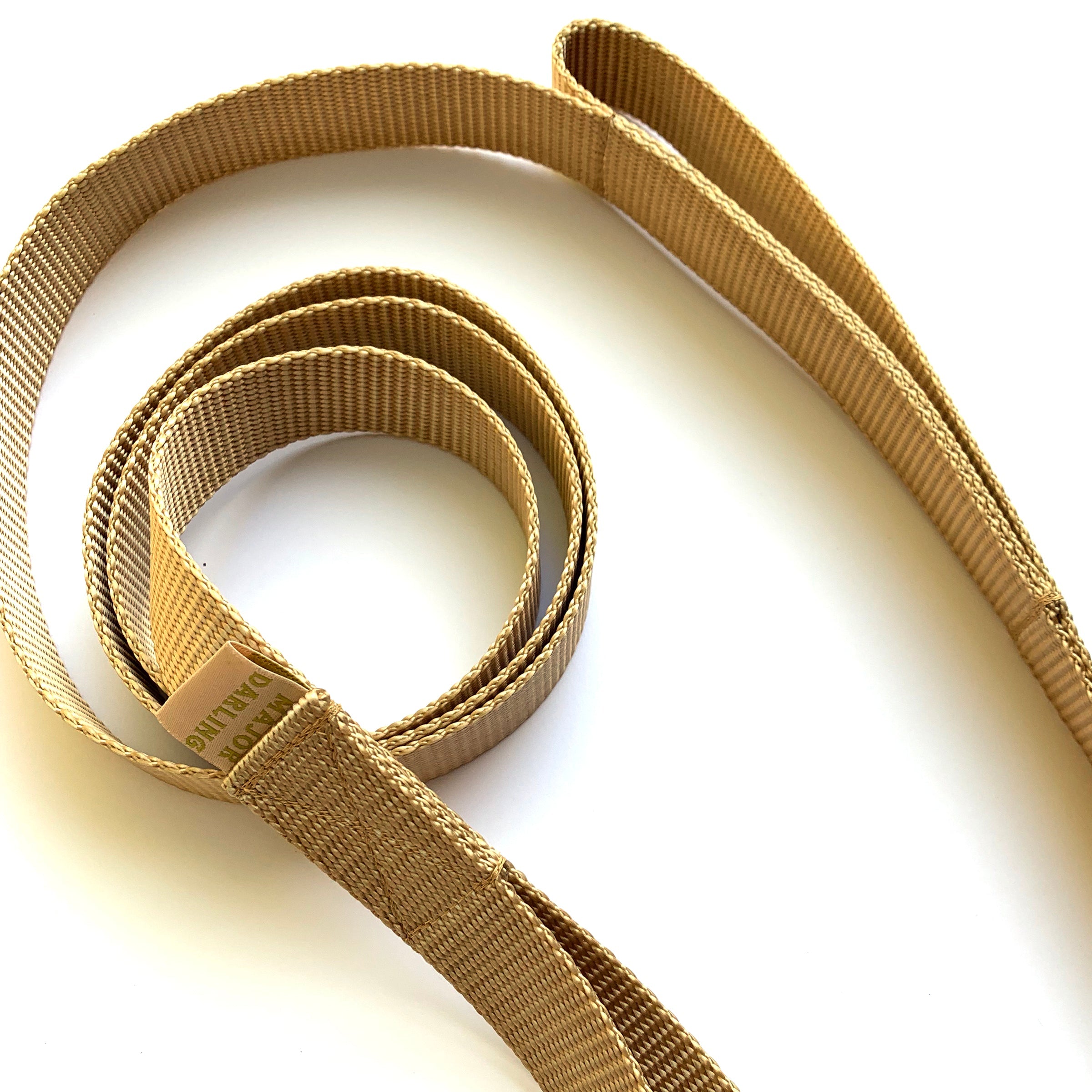 double handle 6' long leash
