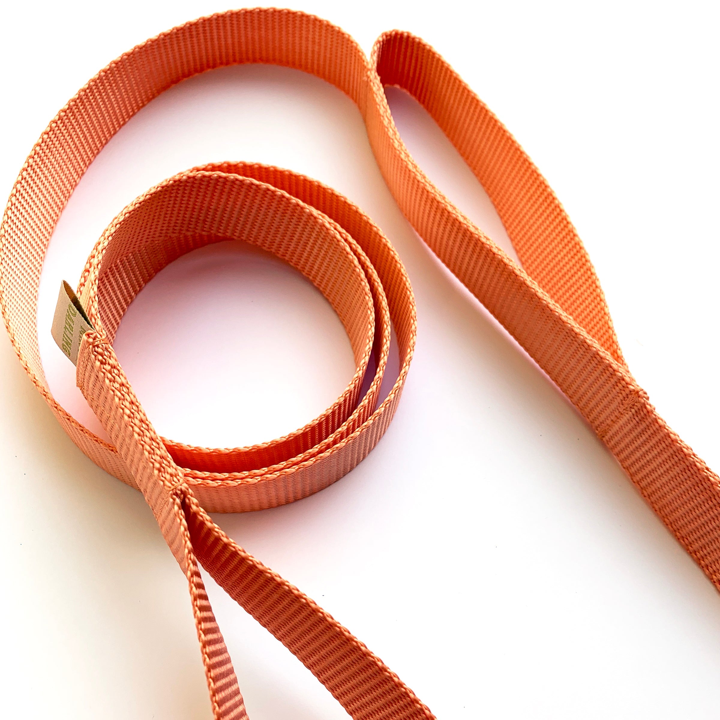double handle 6' long leash