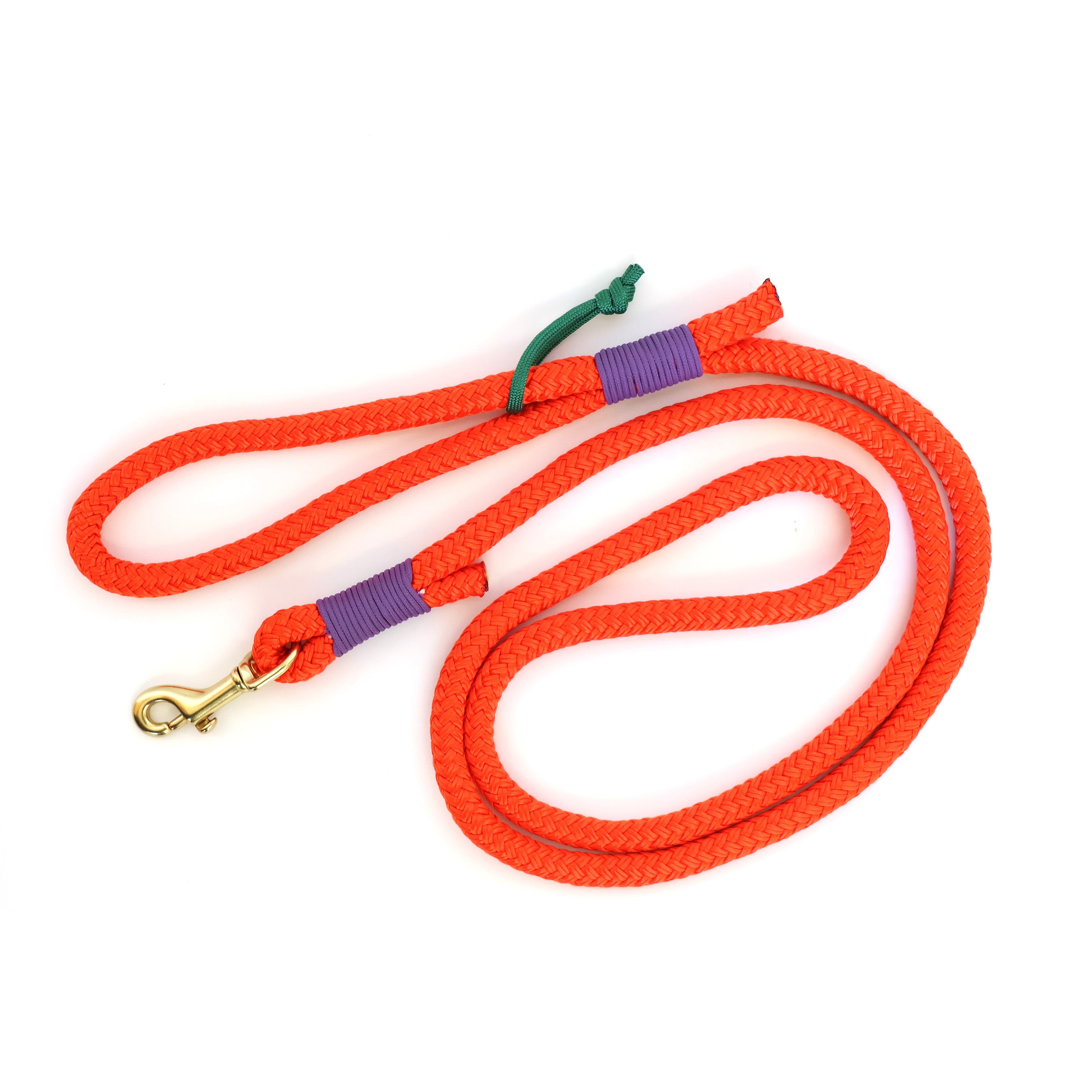 5' Nylon Rope Dog Leash