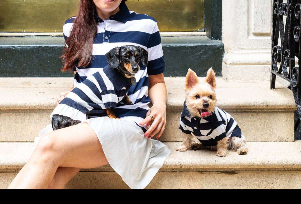 Woman with a Dachshund and a Yorkie in matching striped polo dresses