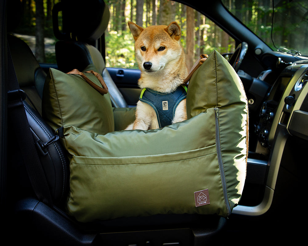 Medium size dog on a car seat while traveling