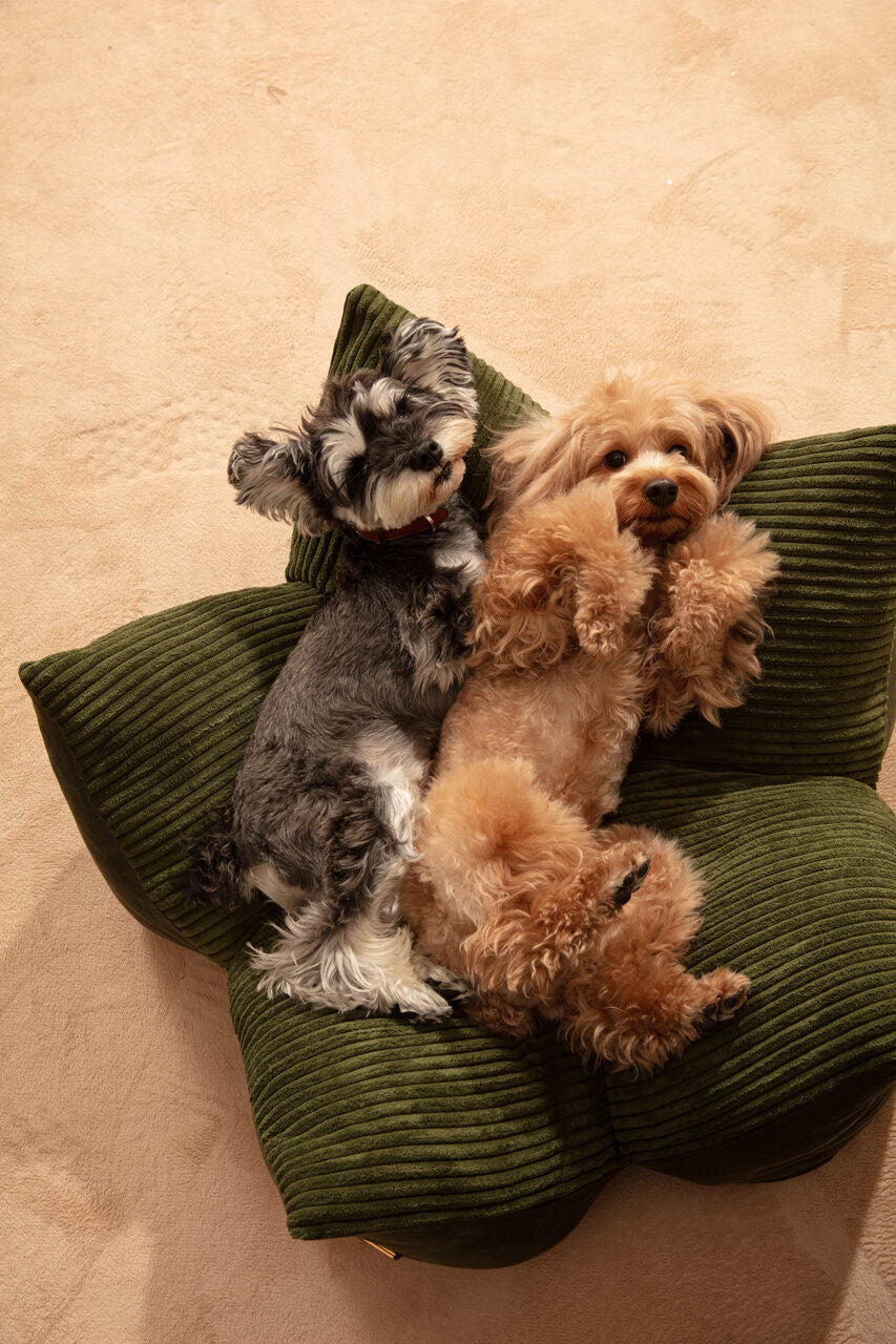 pehomnyc OULU X PEHOM - CUDDLE PET PILLOW BED- Navy Blue / Olive Green / Canyon Brown, photo 16