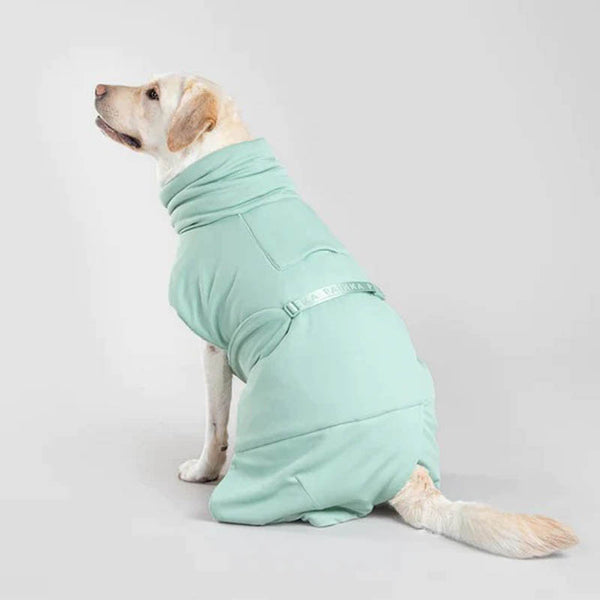Saige color dog bathrobe quick drying pet towel on a labrador