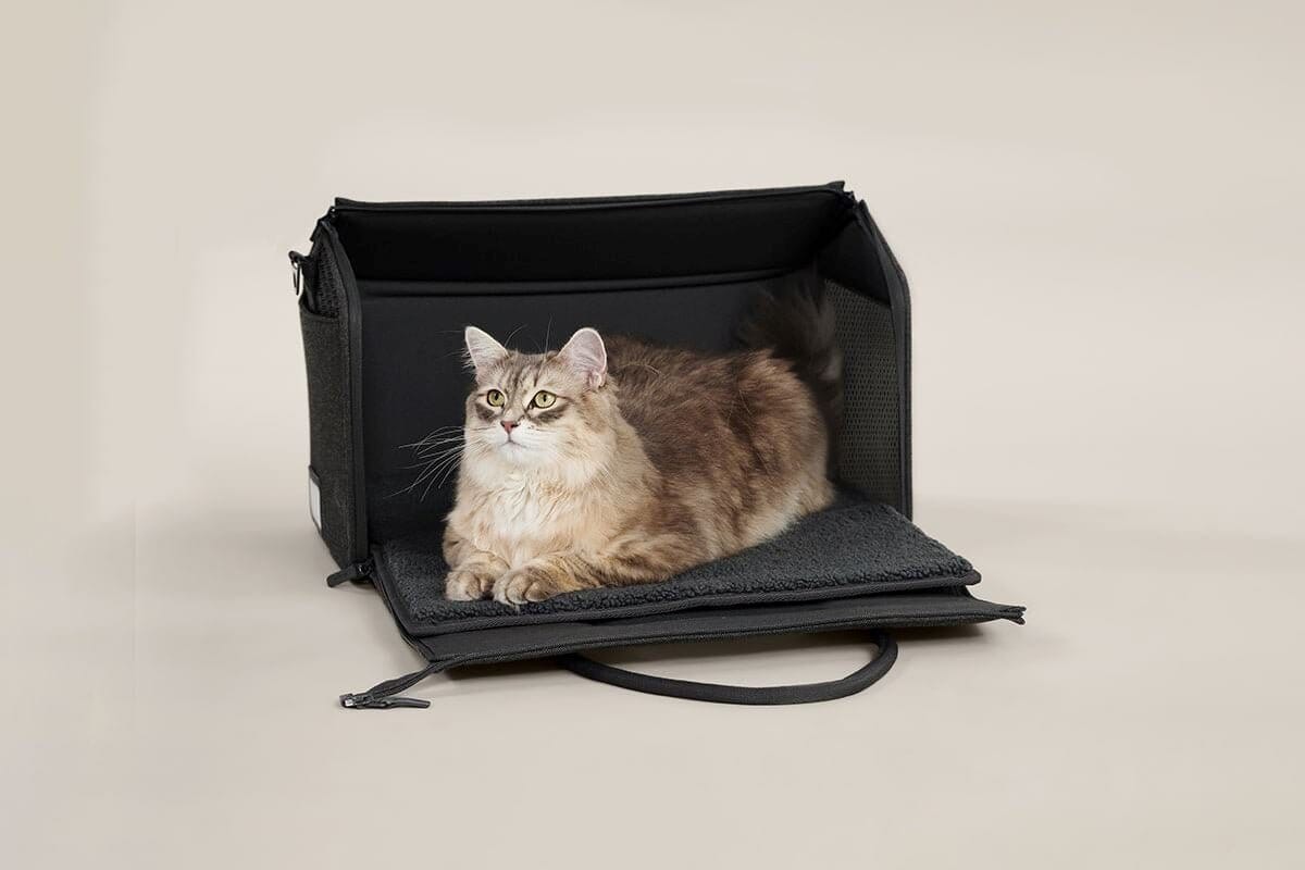 Airline Approved Porto Canvas Cat Carrier