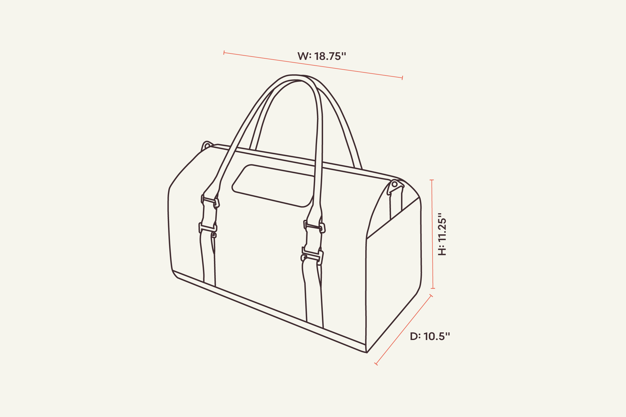 porto cat carrier dimensions