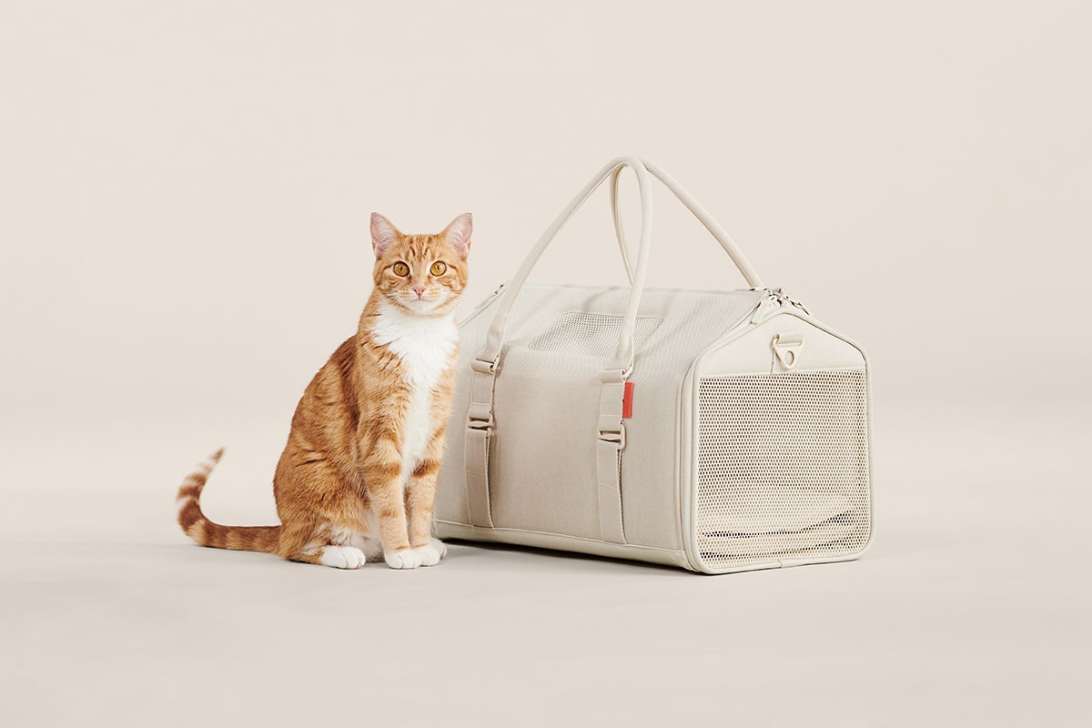 Airline Approved Porto Canvas Cat Carrier